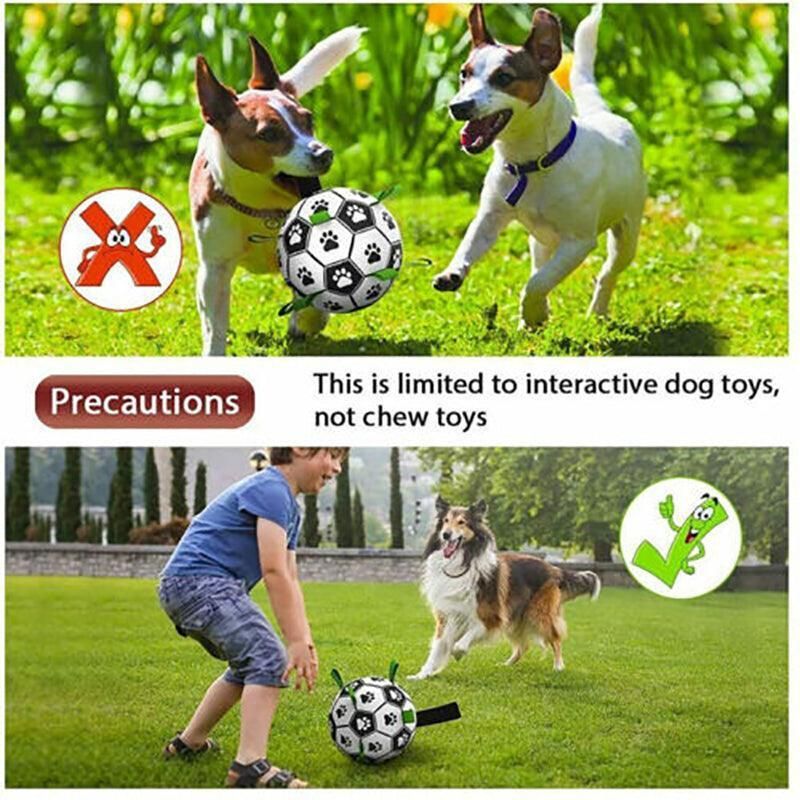 Interactive Pet Football Dog Toys Grab Tabs Outdoor Training Soccer Chew Balls view 6
