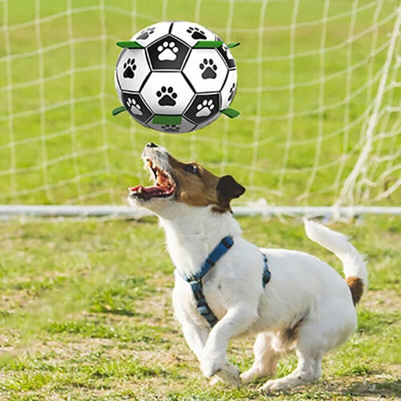 Interactive Pet Football Dog Toys Grab Tabs Outdoor Training Soccer Chew Balls view 10