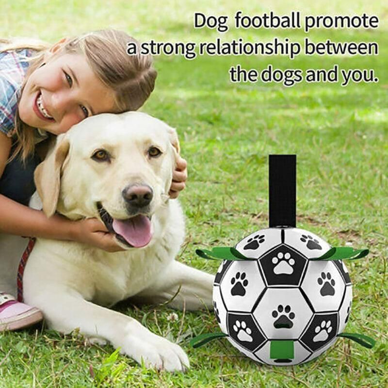 Interactive Pet Football Dog Toys Grab Tabs Outdoor Training Soccer Chew Balls view 11