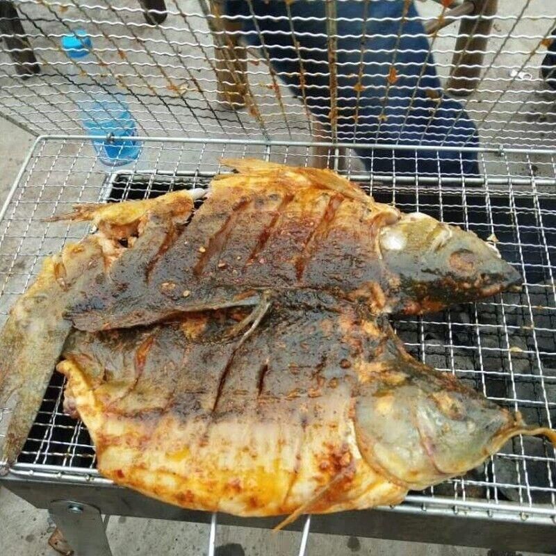 Bbq Fish Grilling Basket Grill Camping Net Meat Vegetable Cooking Kitchen Tool view 5