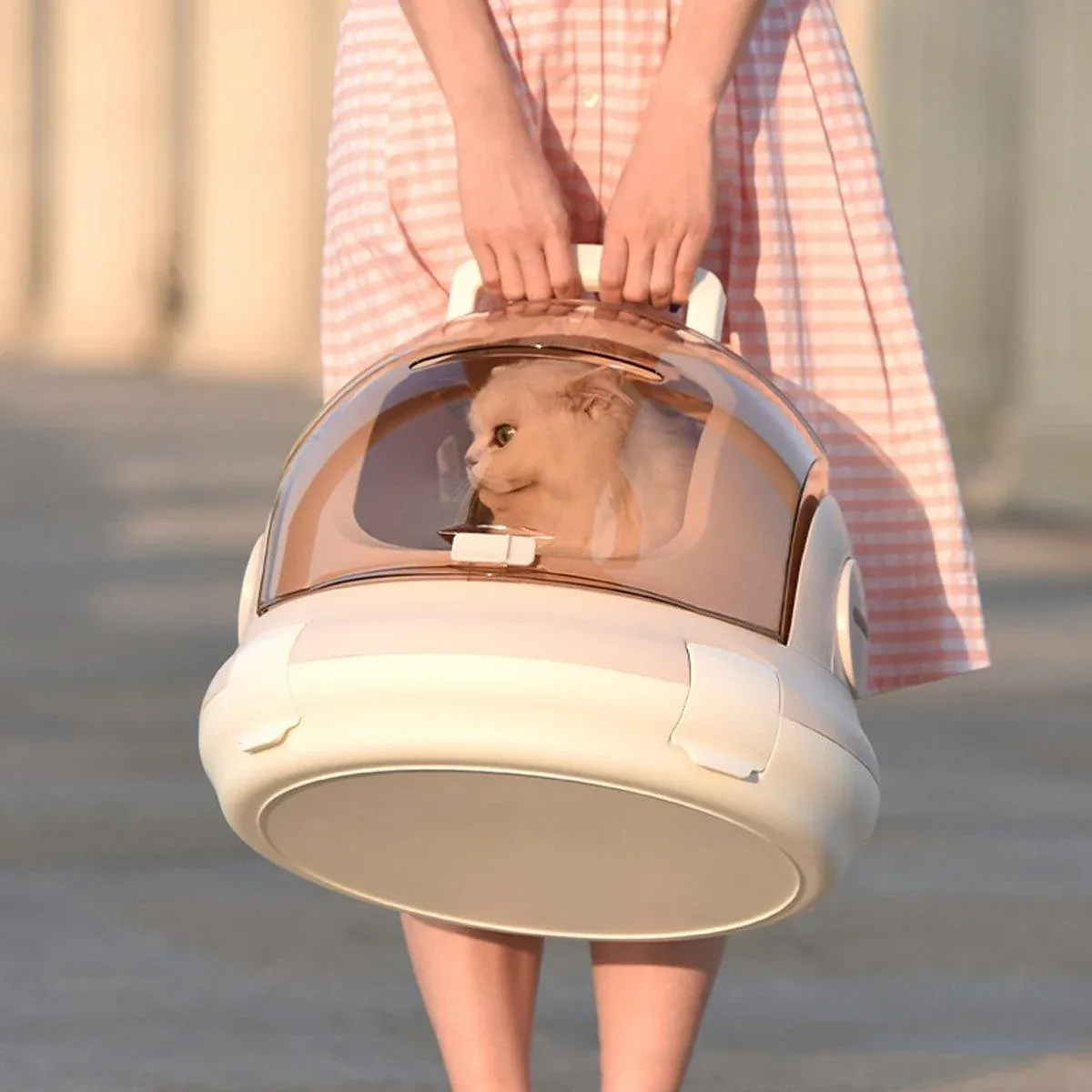 Portable Cat Carrier Space Capsule Large Capacity Aviation Travel Kitty Basket view 13