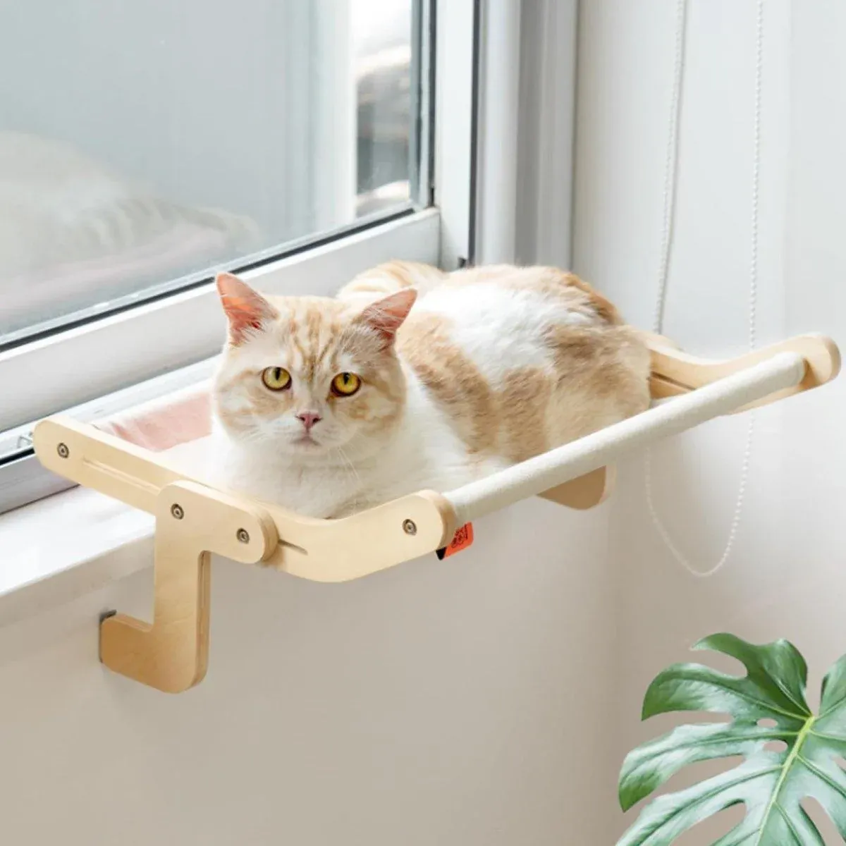 Window Hanging Cat Hammock Solid Wood Sun Bed Nest for All Seasons Durable view 13