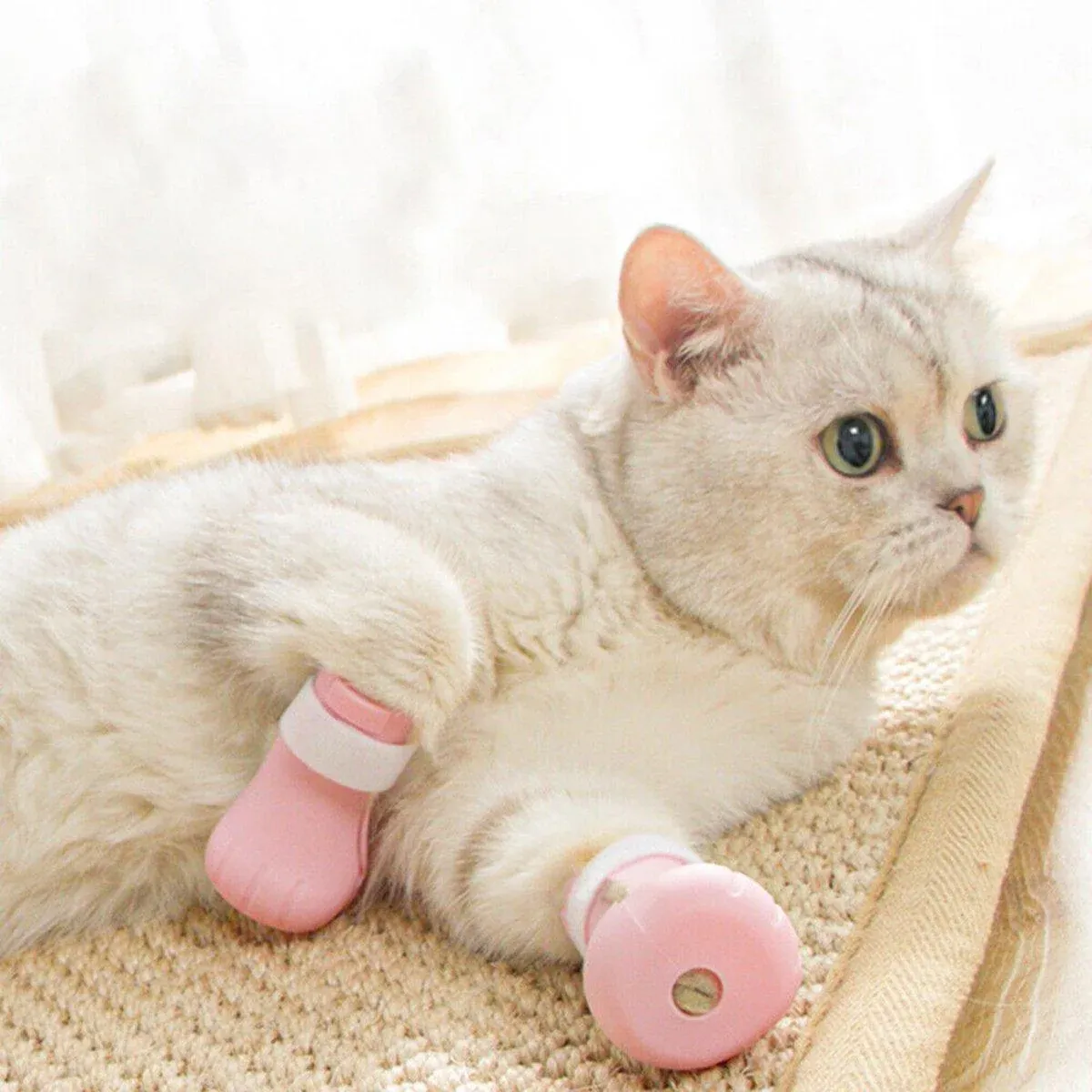 4pcs Cat Bathing Grooming Anti-Scratch Silicone Pet Socks for Bathing Feeding view 10