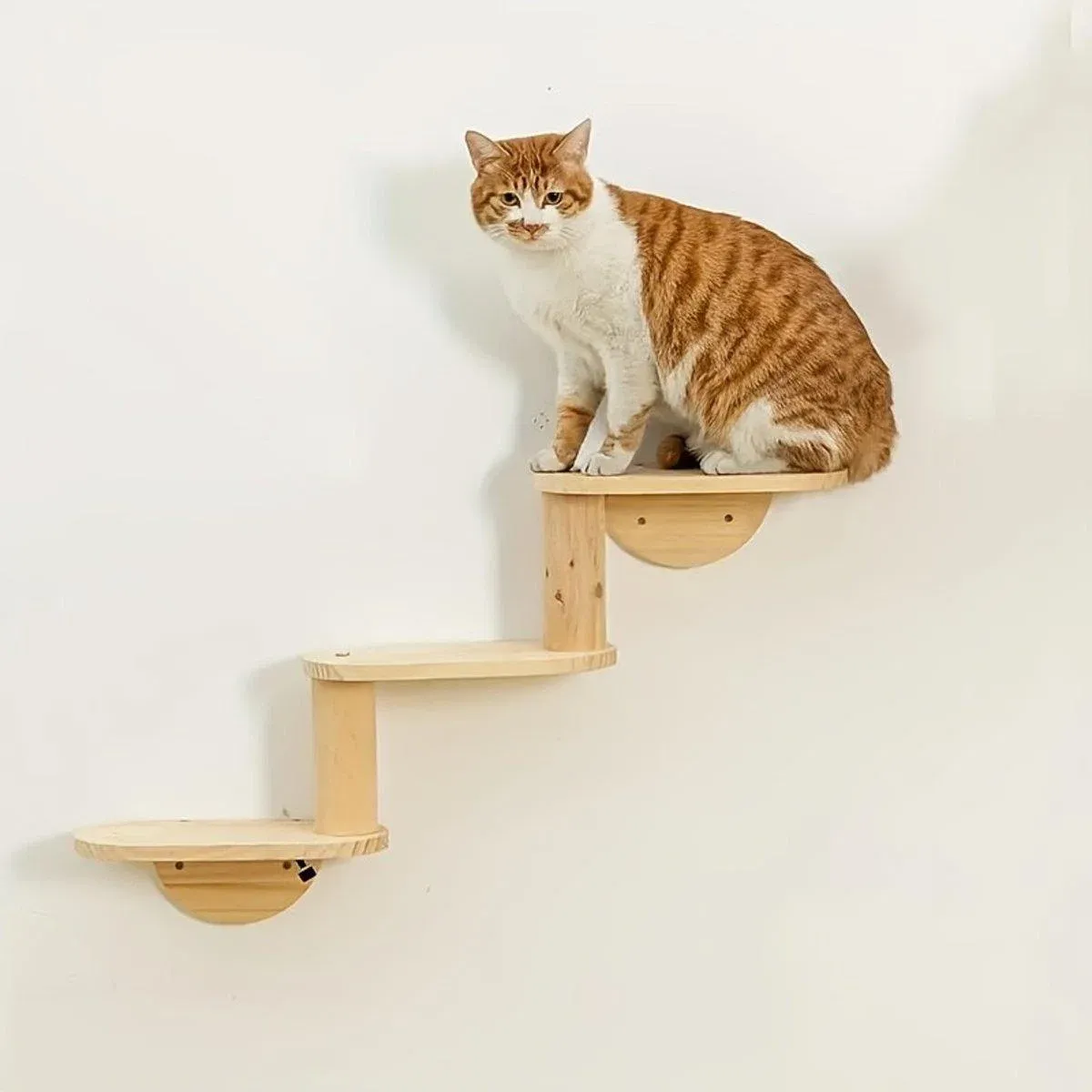 Solid Wood Wall Mounted Cat Climbing Tree Rack Platform Space Capsule Bed Shelf view 10