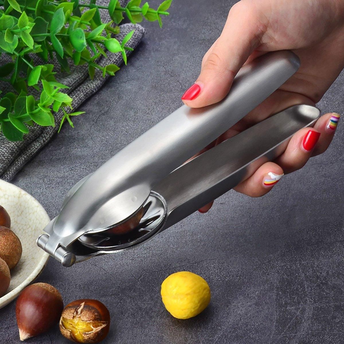 Chestnut Opener 304 Stainless Steel Cross Chestnut Shell Stripper Nut Cracker view 11
