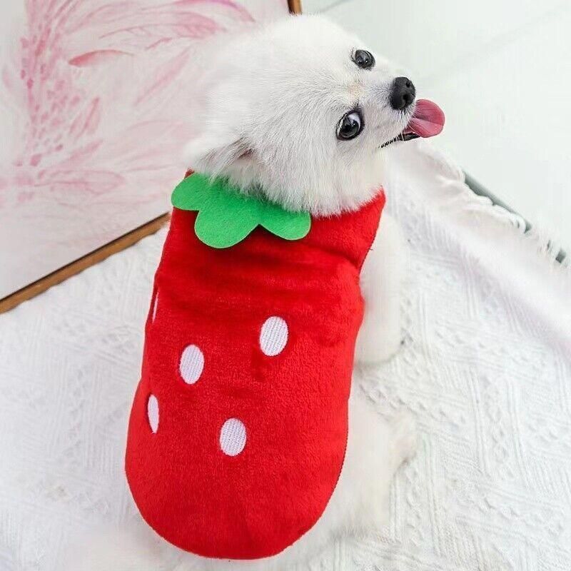 S Size Warm Winter Dog Clothes Soft Fleece Dog Jacket Pet Coat Sweater Cat view 12