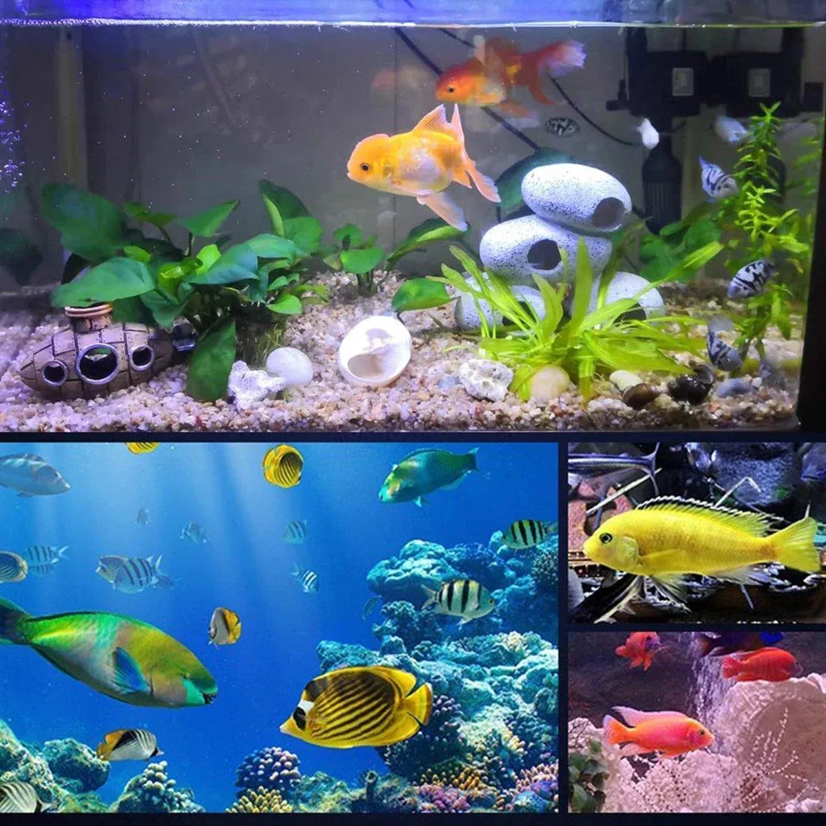 Clay Pot Aquarium Decoration Shrimp House Cichlid Breeding Tank Fish Nest view 10