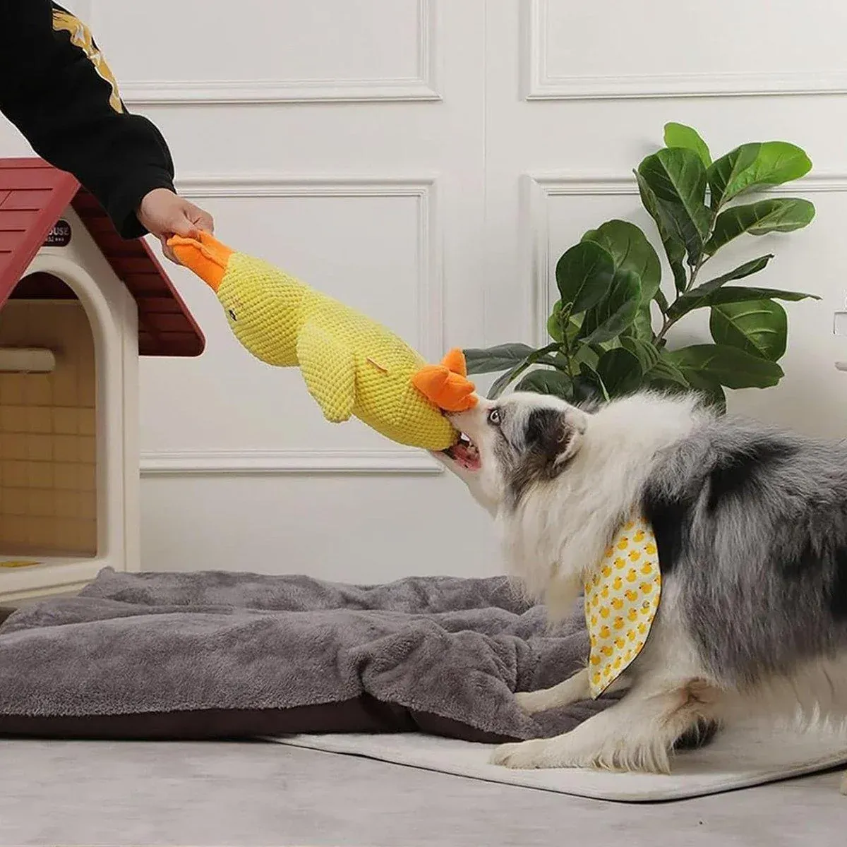 Plush Cartoon Duck Dog Toy Interactive Squeaky Pet Toy Durable Fun Chew Toy view 9