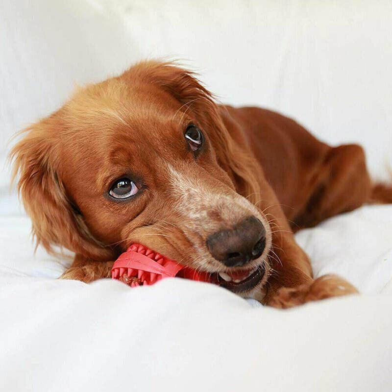 Dog Chew Toy Rubber Ball Treat Dispenser Dental Cleaning Training Play Ball view 11