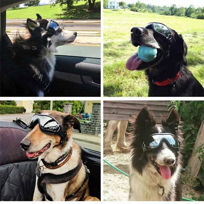 Fashion Pet Dog Doggles Goggles Uv Sunglasses Sun Glasses Eye Wear Protection view 6