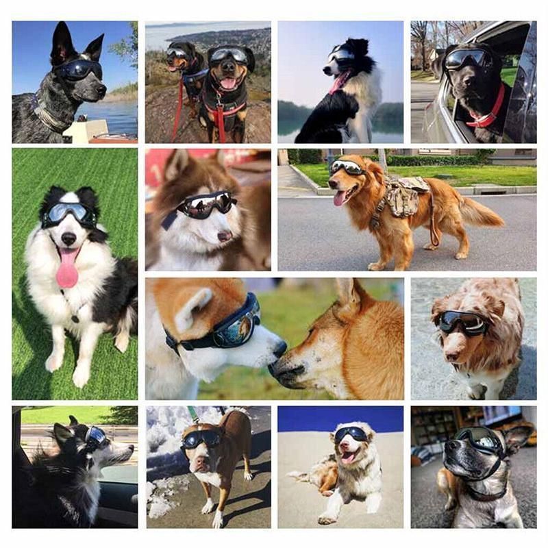 Fashion Pet Dog Doggles Goggles Uv Sunglasses Sun Glasses Eye Wear Protection view 7