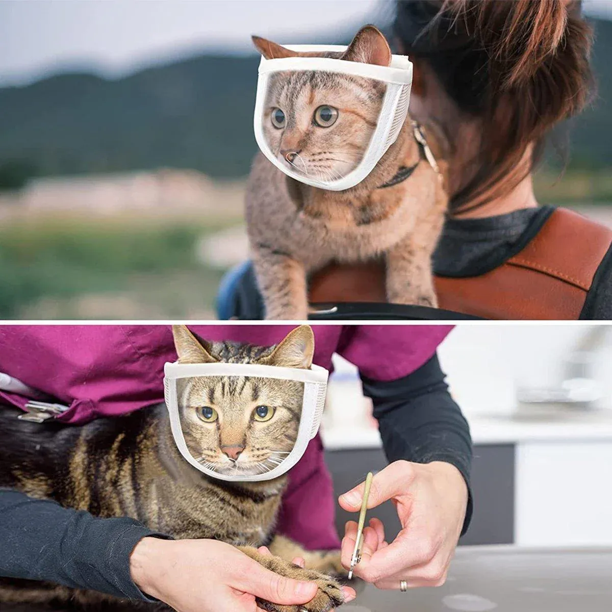 Breathable Pet Headgear Clear Cat Dog Mask Anti Bite Scratch Protective Gear - M view 10