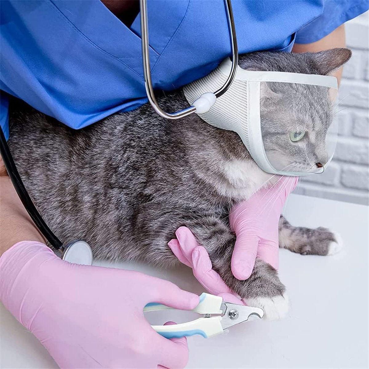 Breathable Pet Headgear Clear Cat Dog Mask Anti Bite Scratch Protective Gear - M view 12