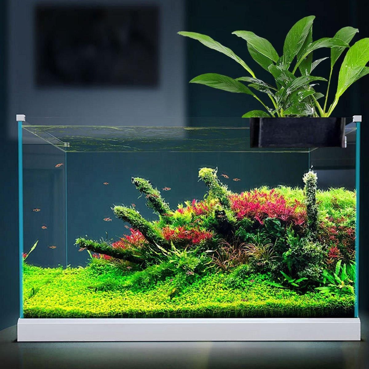 Aquarium Shelf Water Plant Cultivation Rack Fish Tank Plant Holder Decoration view 7