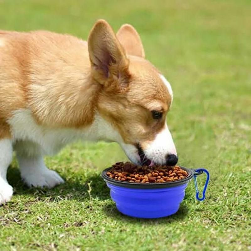 Collapsible Silicone Pet Bowl for Cat Dog Portable Food and Water Feeder - Black view 13