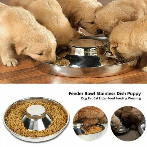 Stainless Steel Pet Bowl Slow Feeder Dish Puppy Dog Cat Food Feeding Weaning view 7