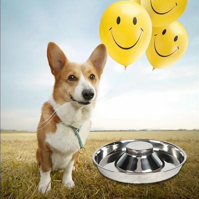 Stainless Steel Pet Bowl Slow Feeder Dish Puppy Dog Cat Food Feeding Weaning view 12