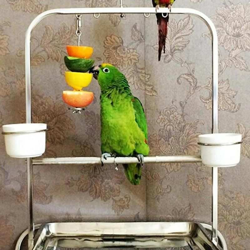 Pet Stainless Steel Bird Parrot Cage Skewer Food Meat Stick Spear Fruit Holder view 7