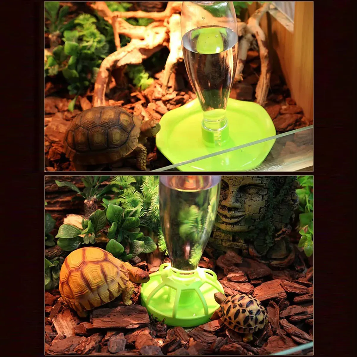 Reptile Water Bowl with Bottle for Lizard Gecko Snake Inverted Bottle view 6