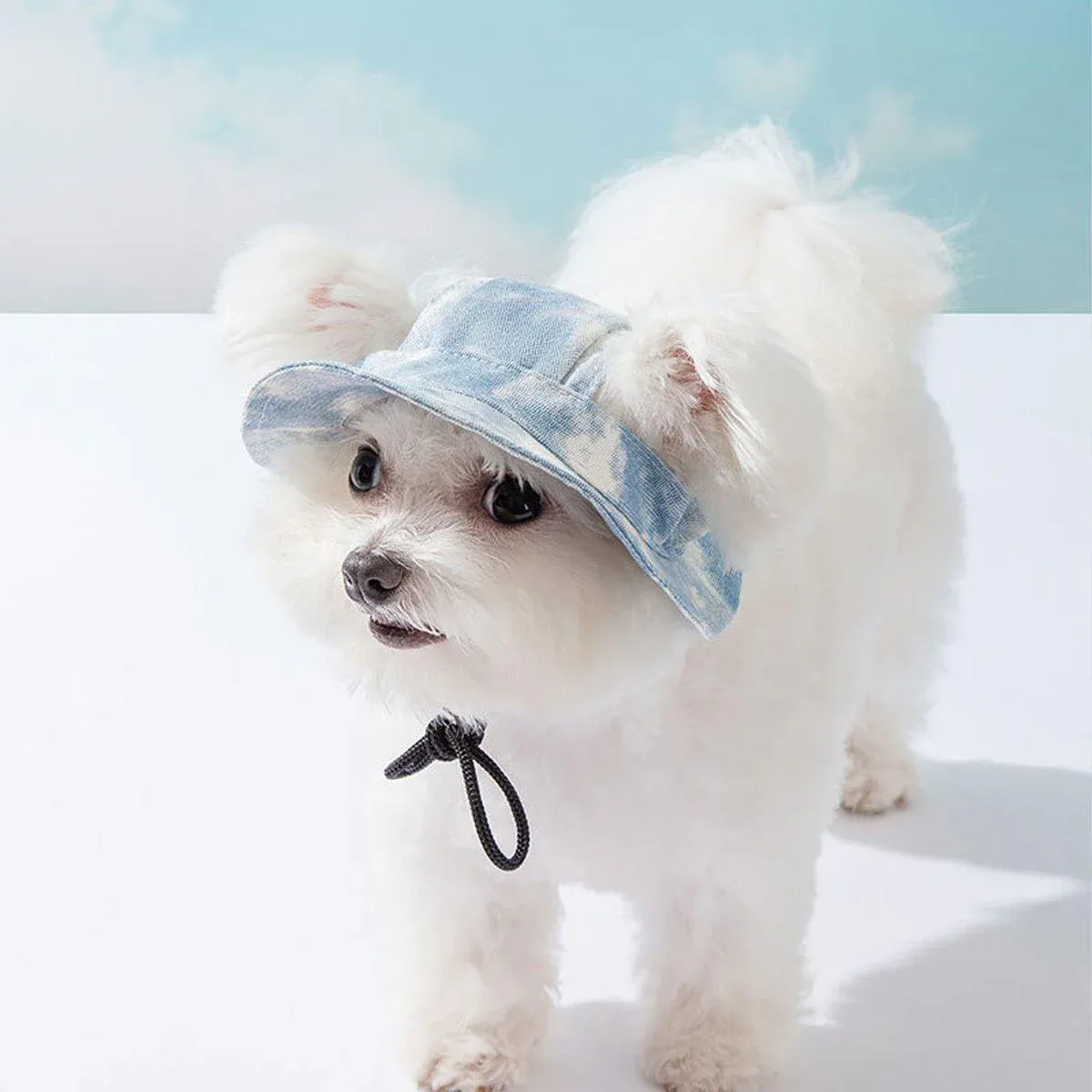 Adjustable Pet Hat with Cute Leaky Ears Sunscreen Fisherman Hat Four Seasons view 12