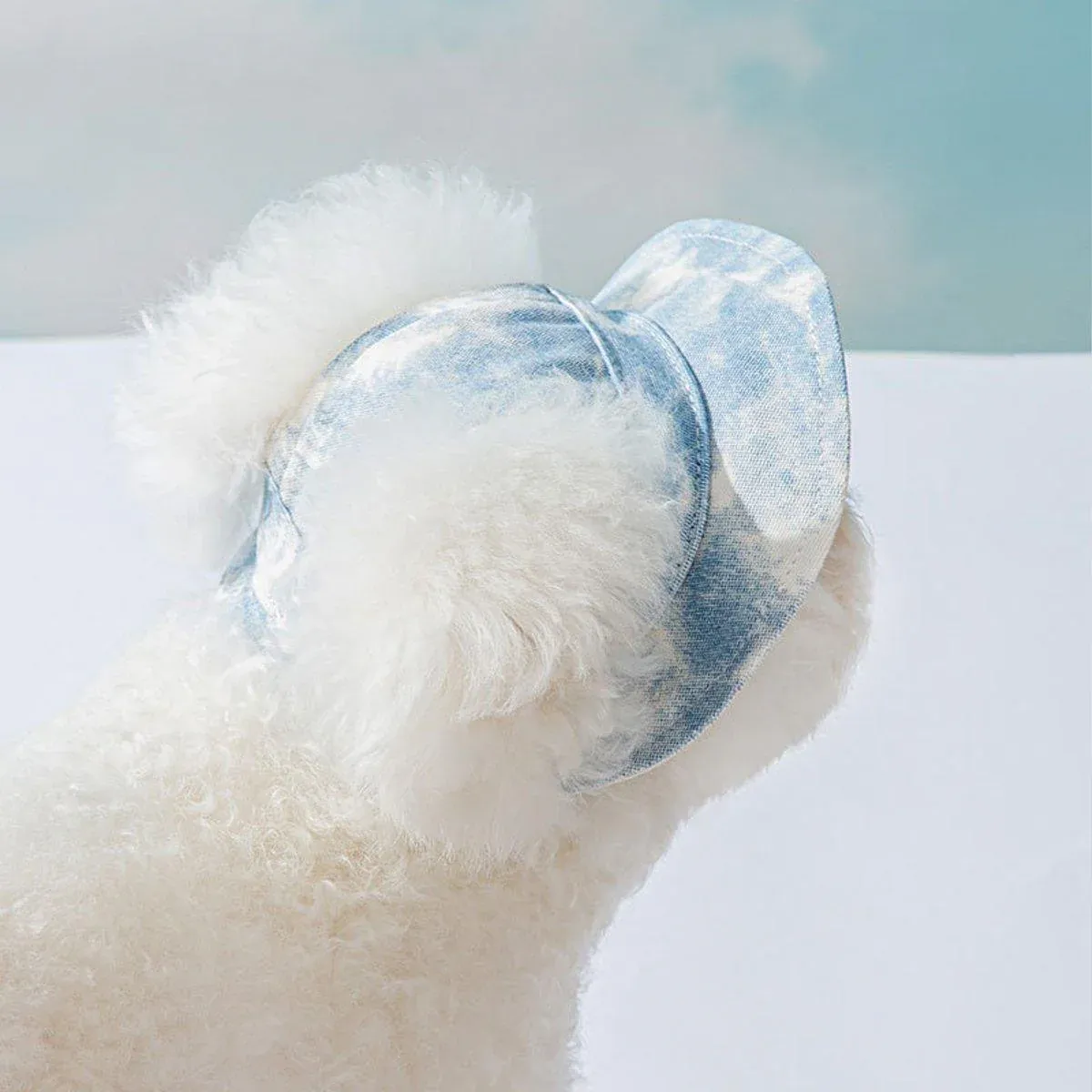 Adjustable Pet Hat with Cute Leaky Ears Sunscreen Fisherman Hat Four Seasons view 4