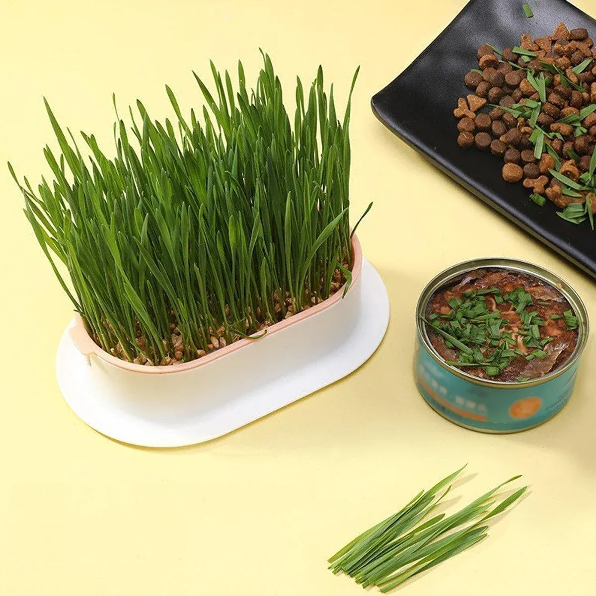 Catnip Hydroponic Box with Cat Snacks Growing Kit for Cats Fresh Catnip Bowl view 5
