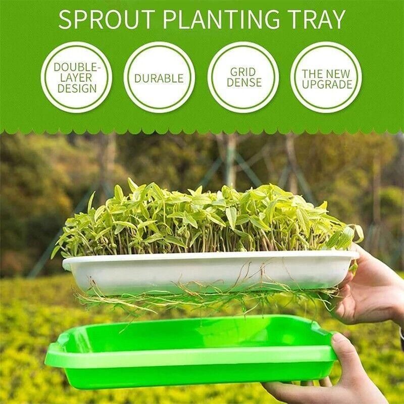 Double Layer Microgreens Tray for Hydroponic Seeding Germination Wheatgrass view 5