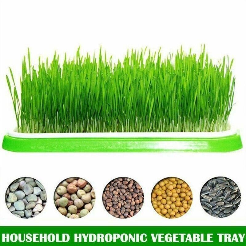 Double Layer Microgreens Tray for Hydroponic Seeding Germination Wheatgrass view 6