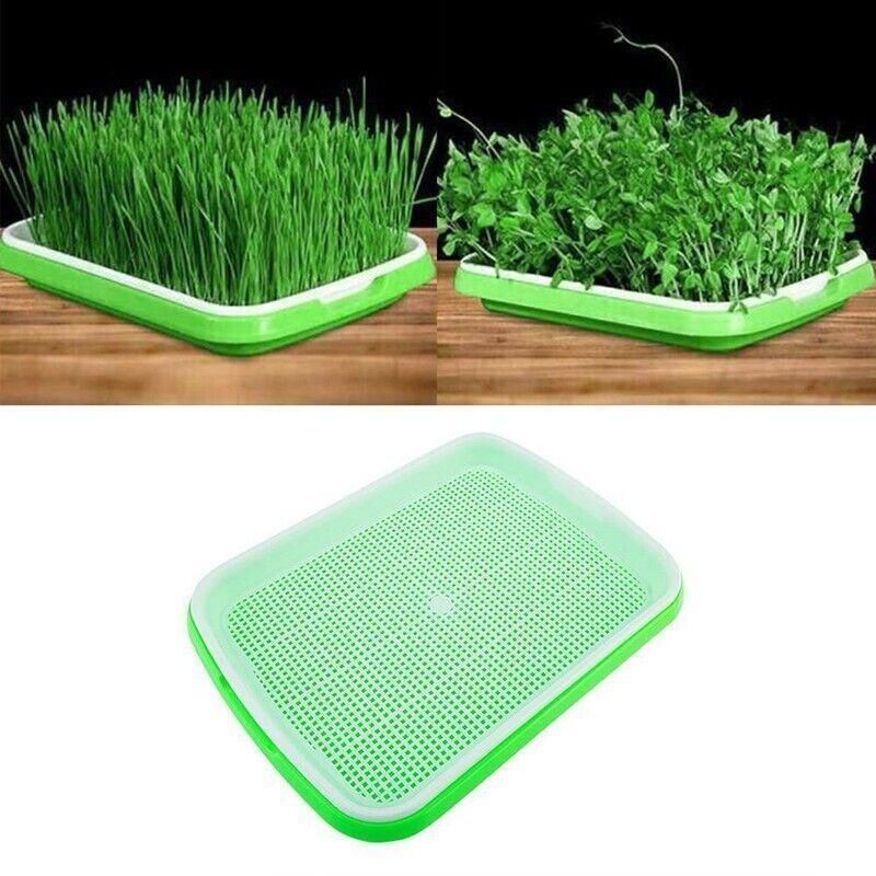 Double Layer Microgreens Tray for Hydroponic Seeding Germination Wheatgrass view 9