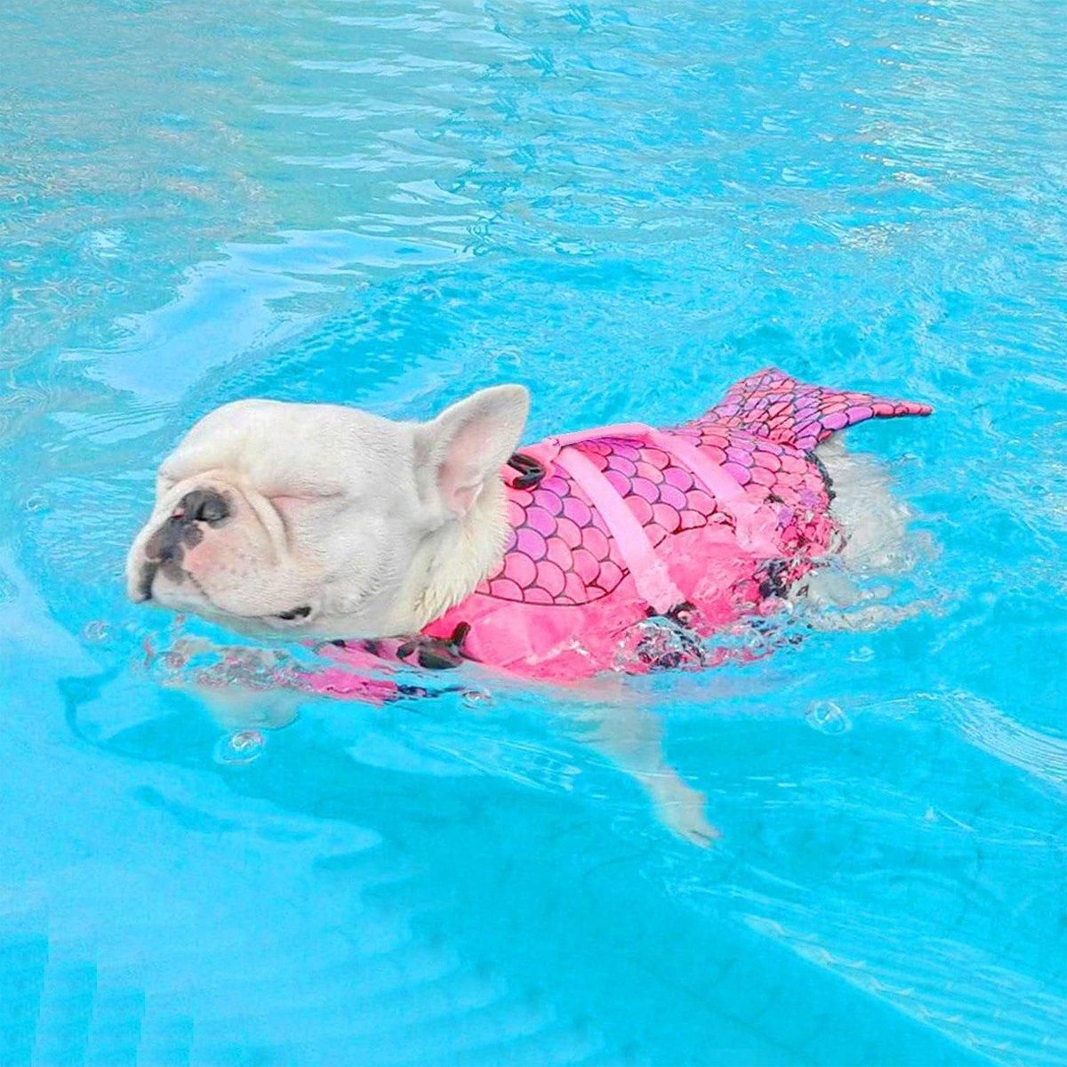 Pet Life Jacket Dog Swim Vest Outdoor Water Gear for Summer Swimming view 12