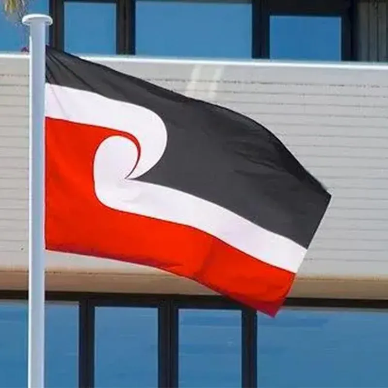 Large Maori Flag 90x150cm Tino Rangatiratanga NZ Flag Outdoor Polyester view 6