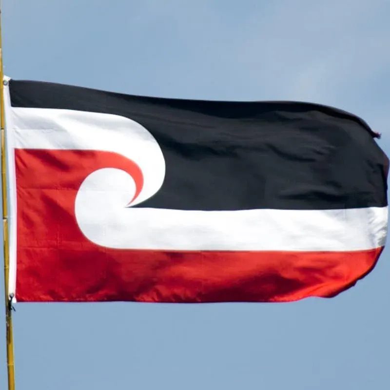 Large Maori Flag 90x150cm Tino Rangatiratanga NZ Flag Outdoor Polyester view 7