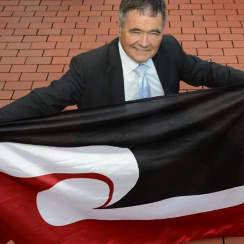 Large Maori Flag 90x150cm Tino Rangatiratanga NZ Flag Outdoor Polyester view 12