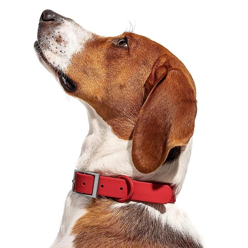 PVC Dog Collar Working Dog Kennels Waterproof Soft Adjustable for Pets M Size view 11