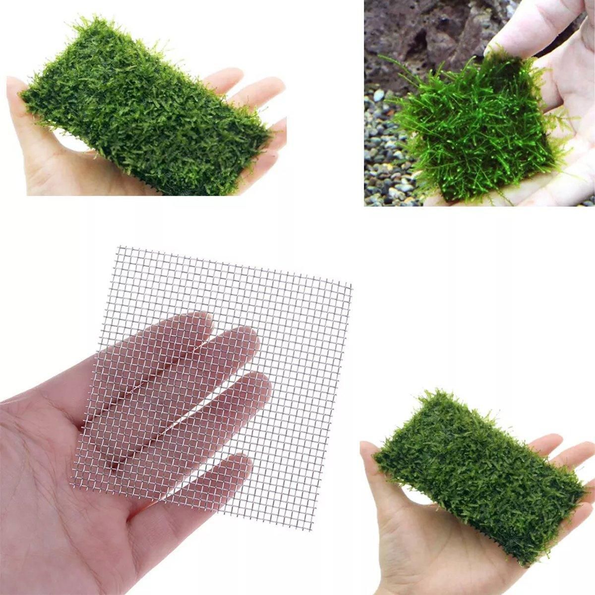 10pcs Stainless Steel Wire Mesh for Water Plants Fish Tank Aquarium Decoration view 5