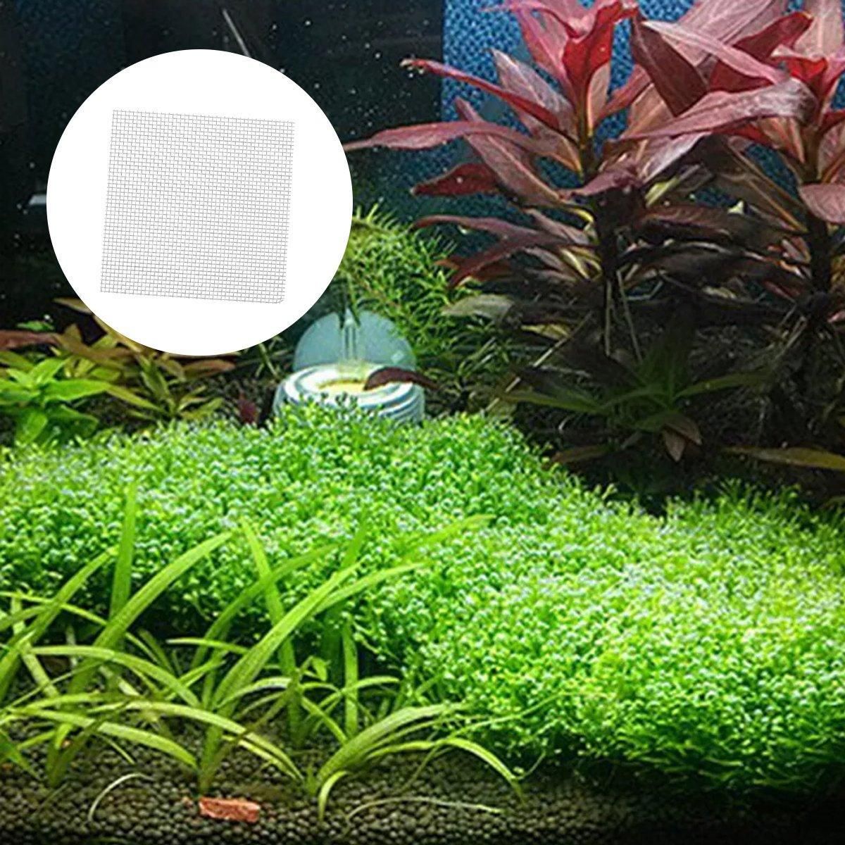 10pcs Stainless Steel Wire Mesh for Water Plants Fish Tank Aquarium Decoration view 12