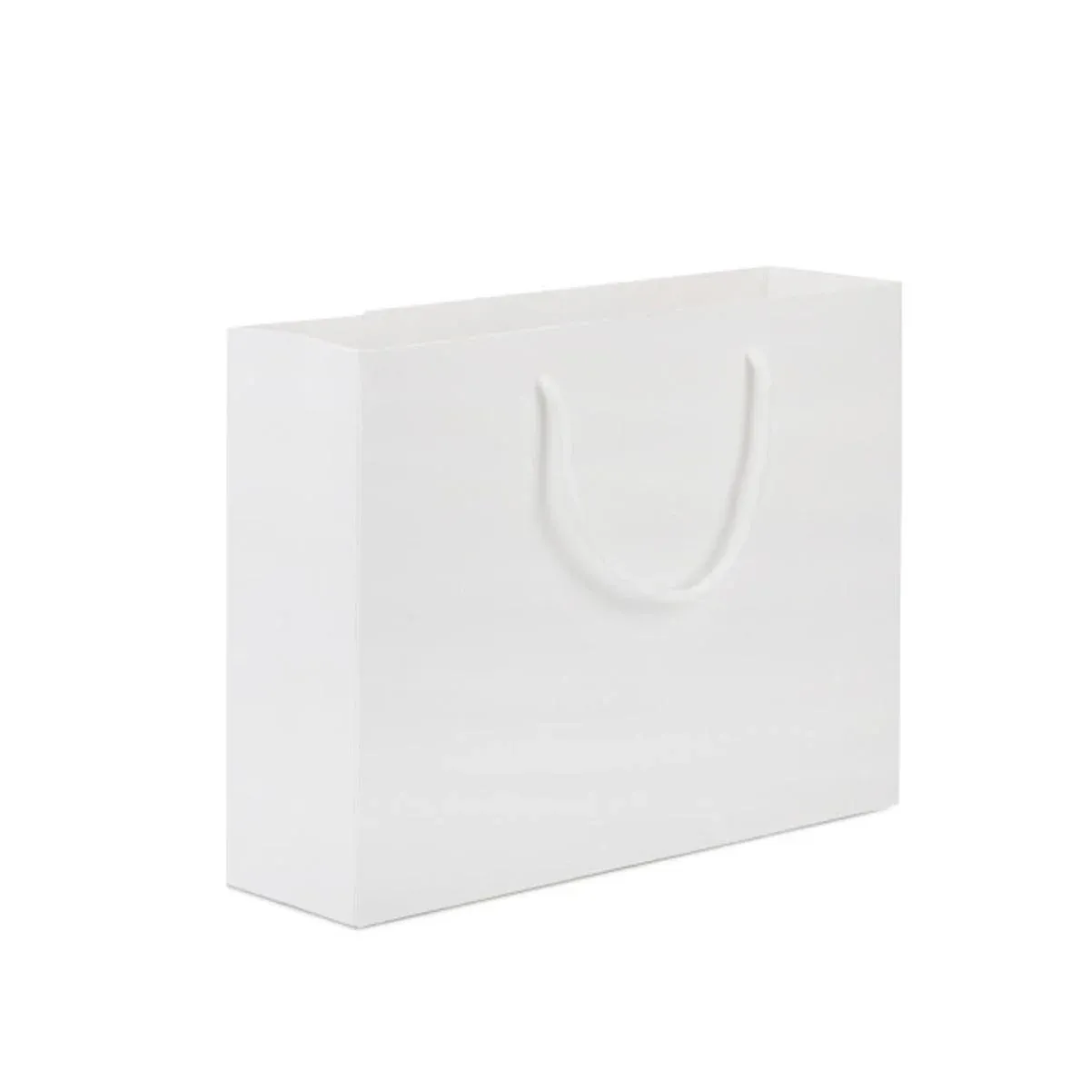 50PCS Kraft Paper Gift Bags Custom Blank Shopping Handbags for Garment view 13