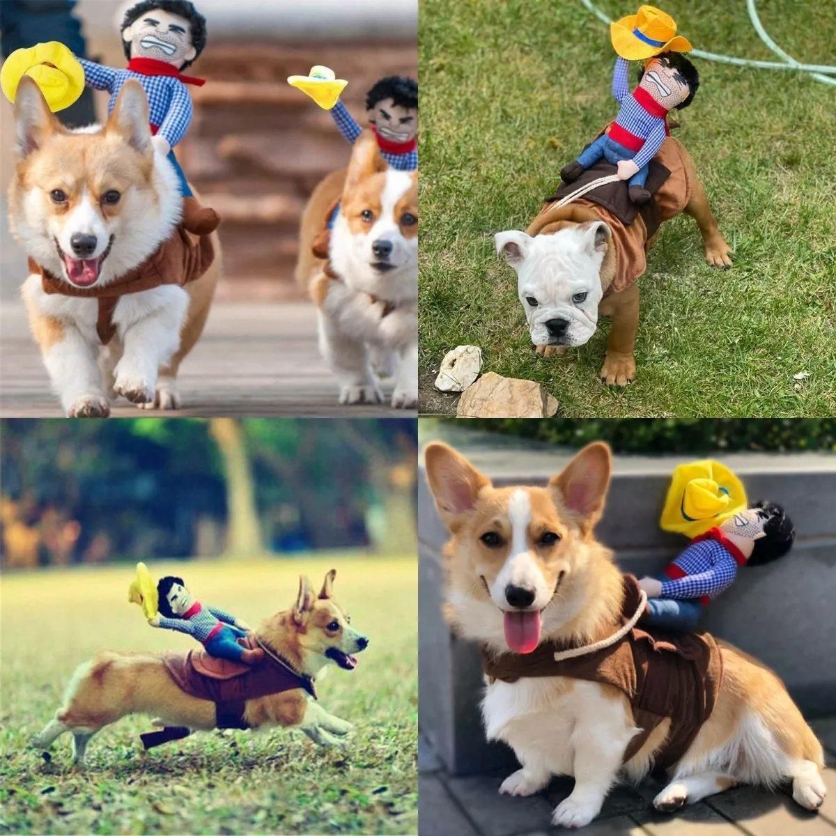 Halloween Dog Costume Pet Accessories Funny Dress Up for Small Medium Dogs view 8