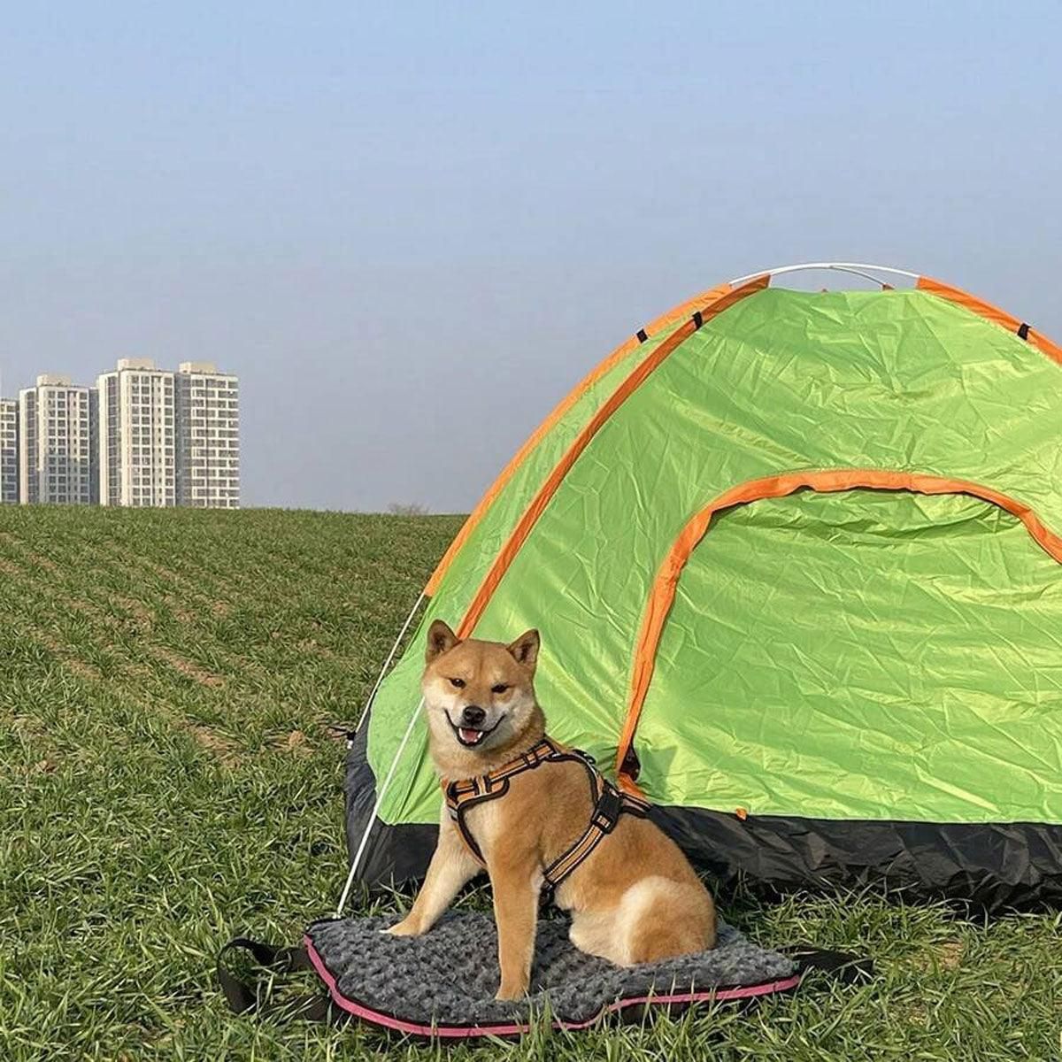 Portable Folding Pet Kennel Zippered Outdoor Dog Bed Travel Mat Waterproof view 11