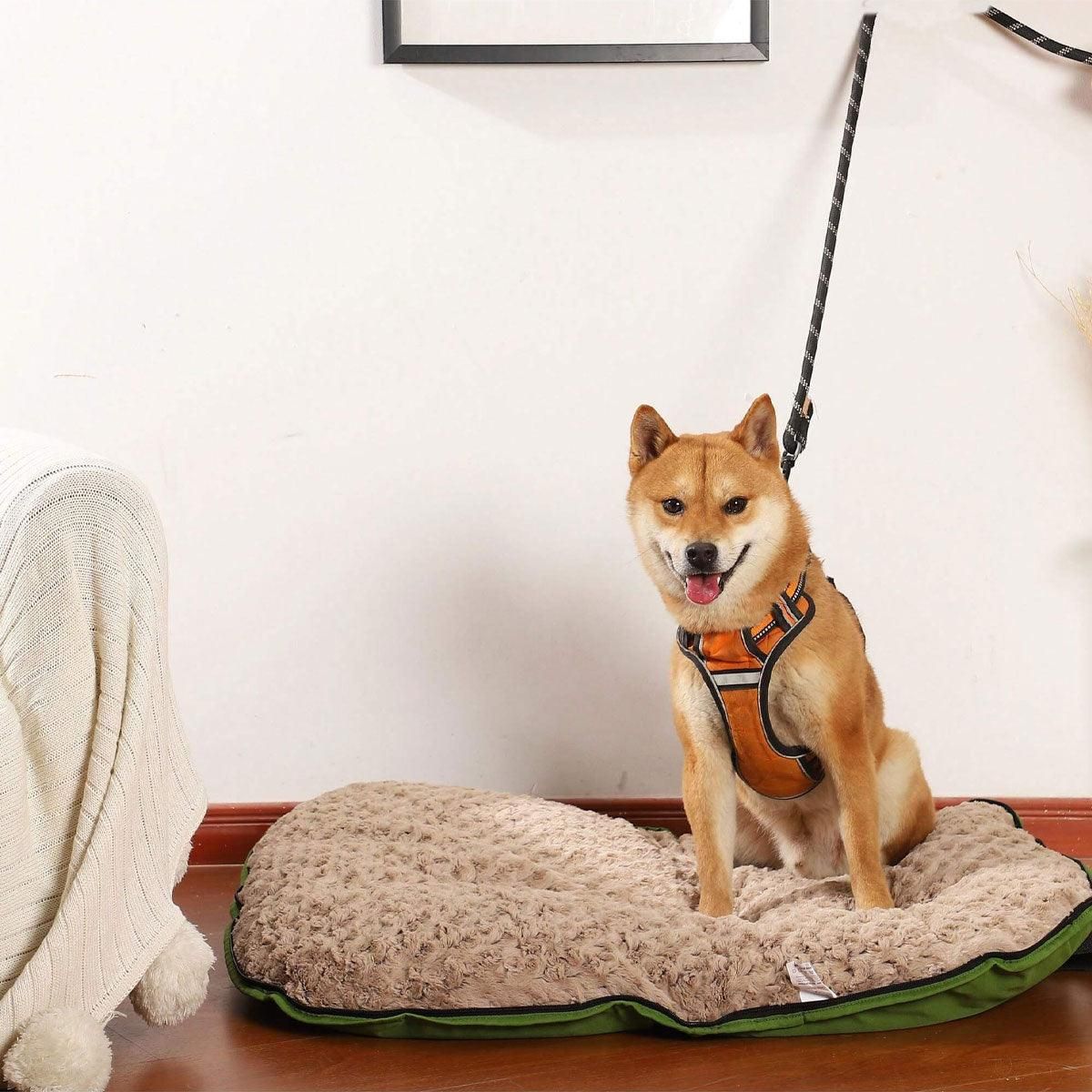 Portable Folding Pet Kennel Zippered Outdoor Dog Bed Travel Mat Waterproof view 12