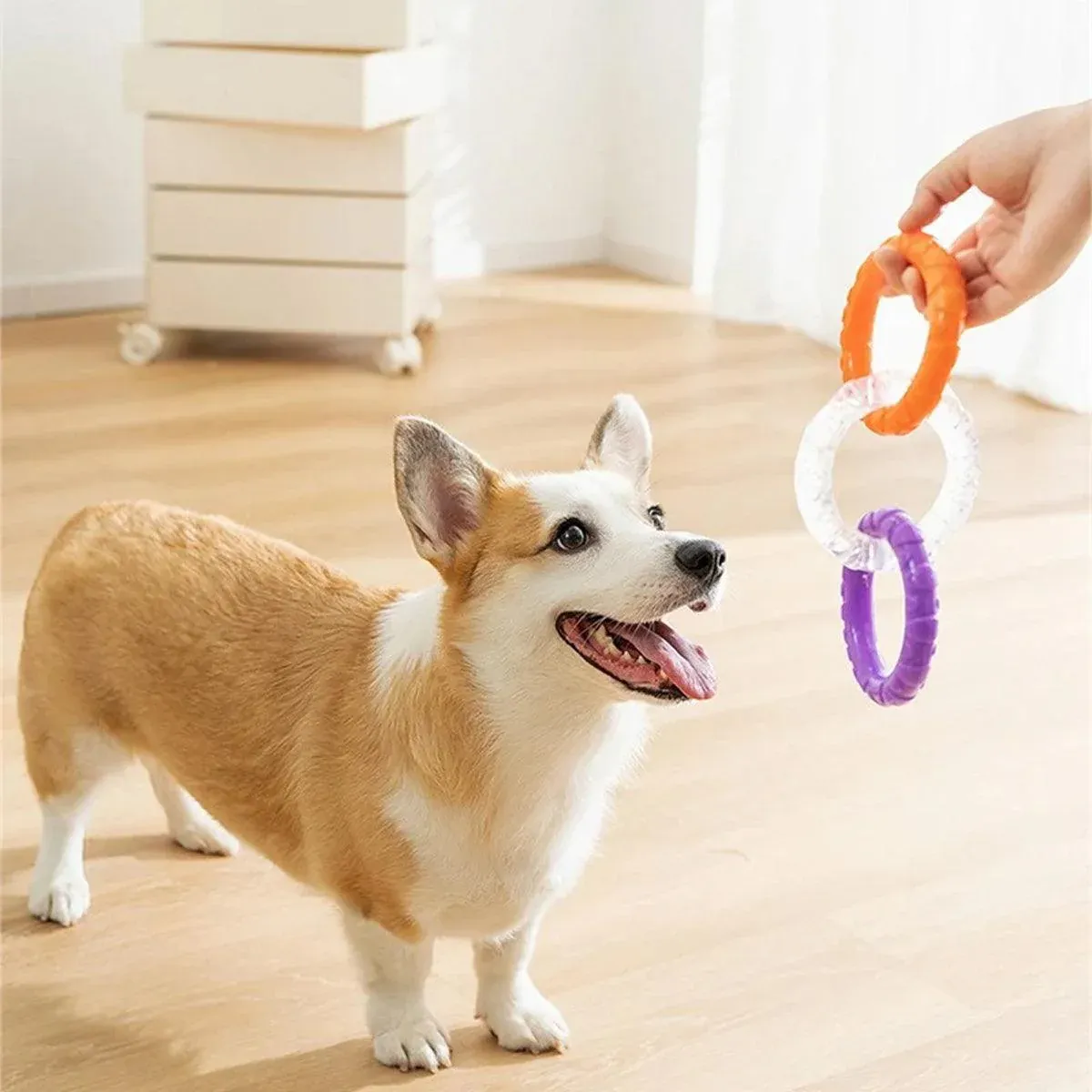 Interactive Dog Toys TRP Rubber Ring Teething Pet Rally Ring Chew Play Fetch view 5