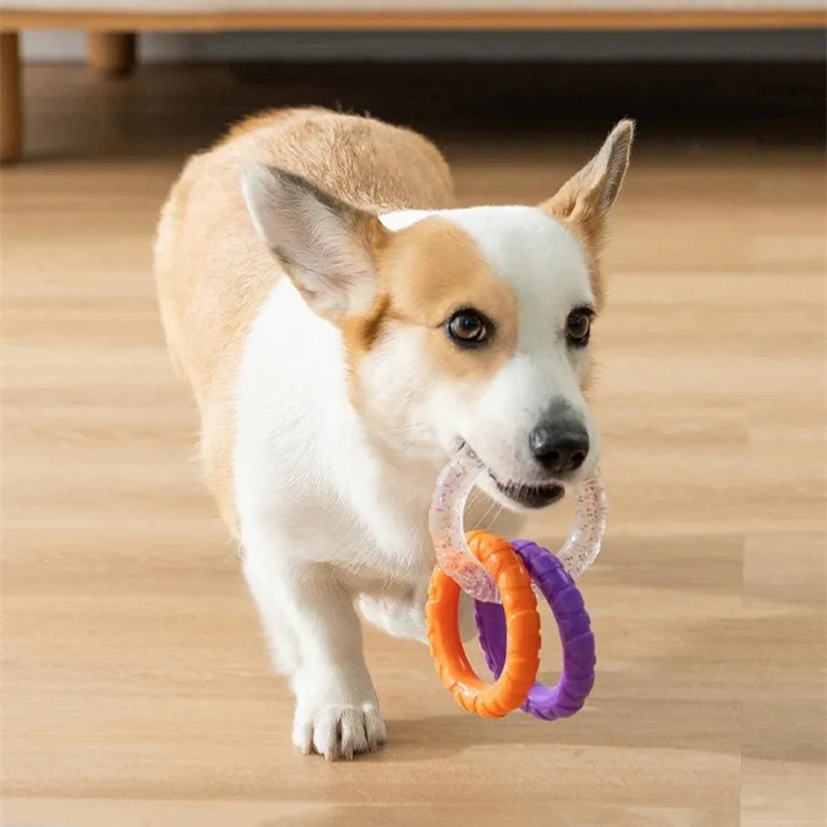 Interactive Dog Toys TRP Rubber Ring Teething Pet Rally Ring Chew Play Fetch view 7