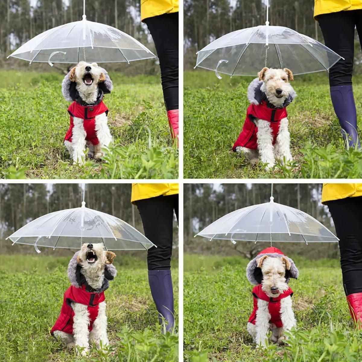 Pet Dog Transparent Umbrella 30 inch Diameter With Dog Leash For Rain Walking view 4