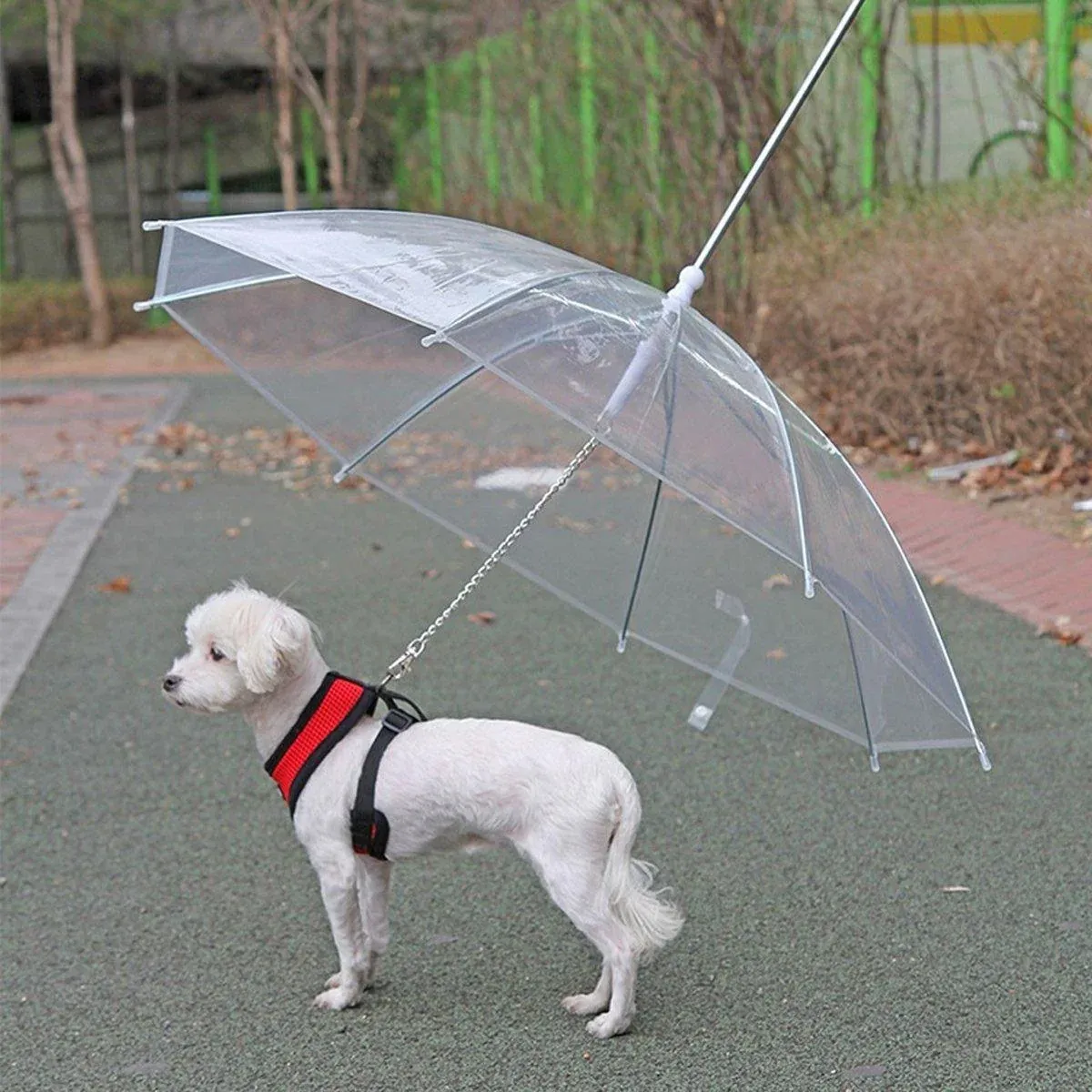Pet Dog Transparent Umbrella 30 inch Diameter With Dog Leash For Rain Walking view 5