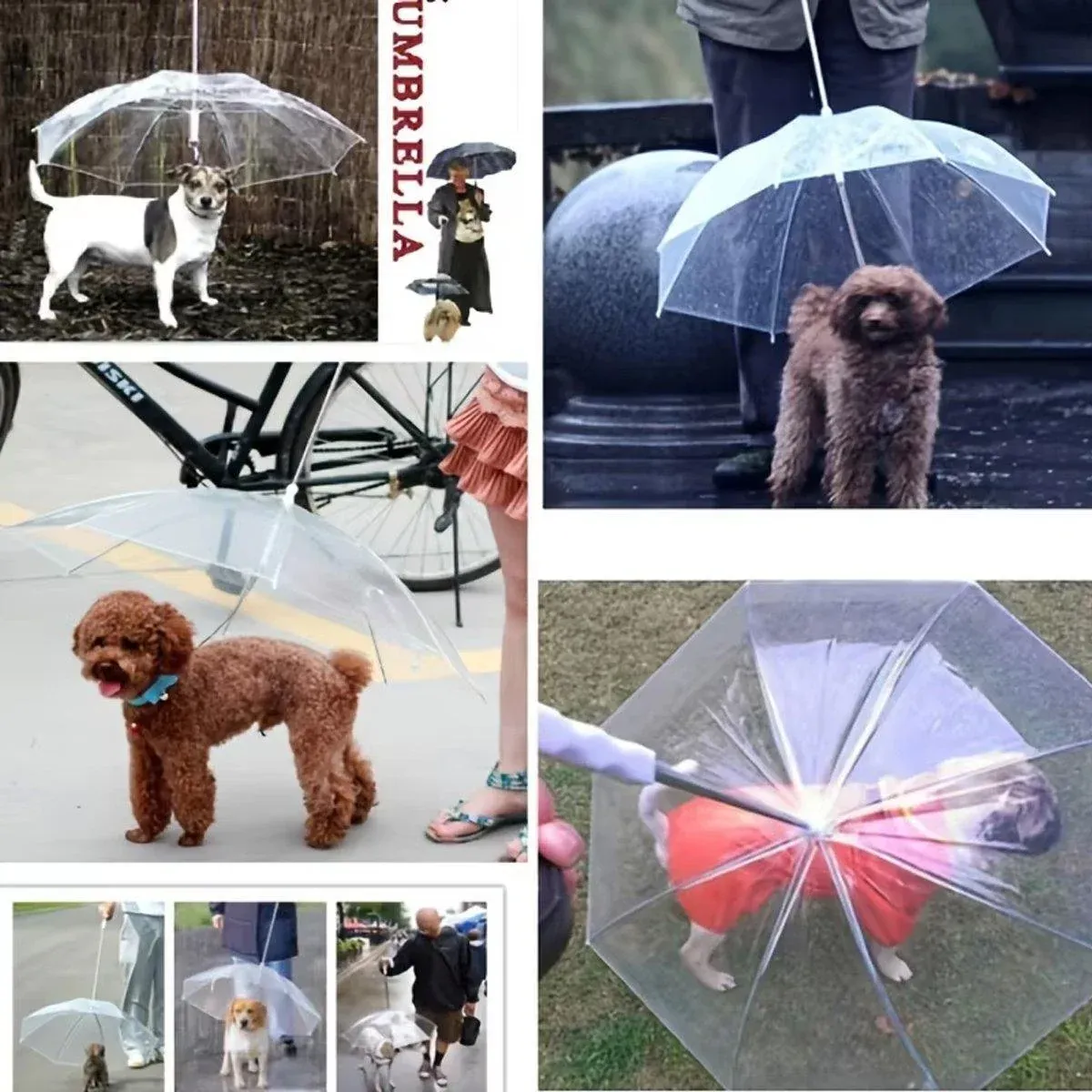 Pet Dog Transparent Umbrella 30 inch Diameter With Dog Leash For Rain Walking view 8