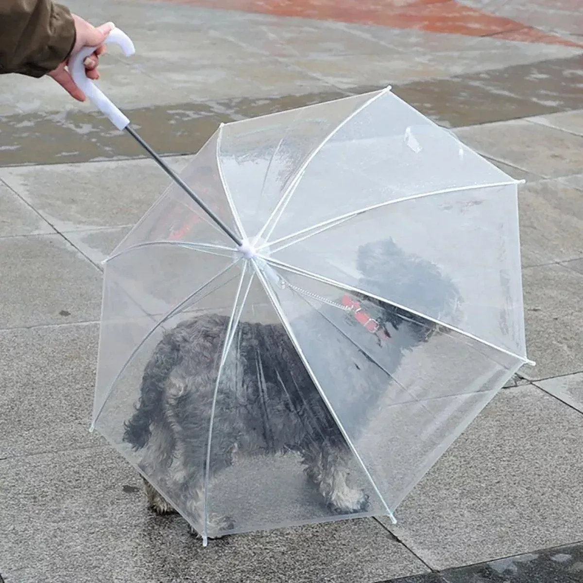 Pet Dog Transparent Umbrella 30 inch Diameter With Dog Leash For Rain Walking view 9