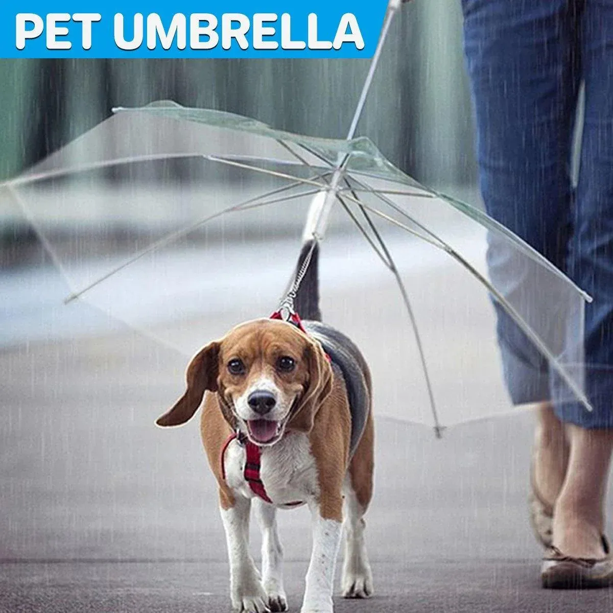 Pet Dog Transparent Umbrella 30 inch Diameter With Dog Leash For Rain Walking view 15