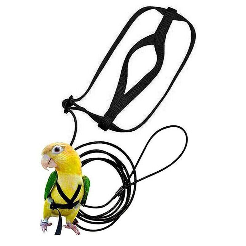 M Pet Parrot Bird Harness Lead Leash Flying Training Rope Cockatiel Outdoor - Red view 13