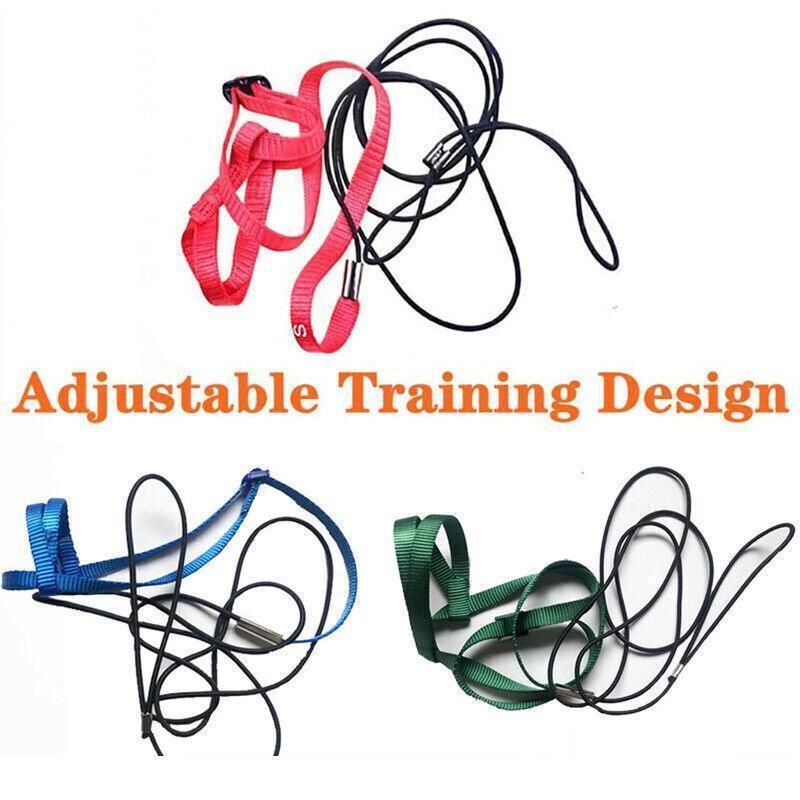 M Pet Parrot Bird Harness Lead Leash Flying Training Rope Cockatiel Outdoor - Red view 14