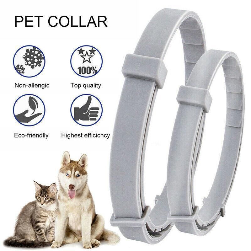 Short Adjustable Pet Anti Flea Tick Neck Collar For Dog Cat Kitten 8 Months view 7